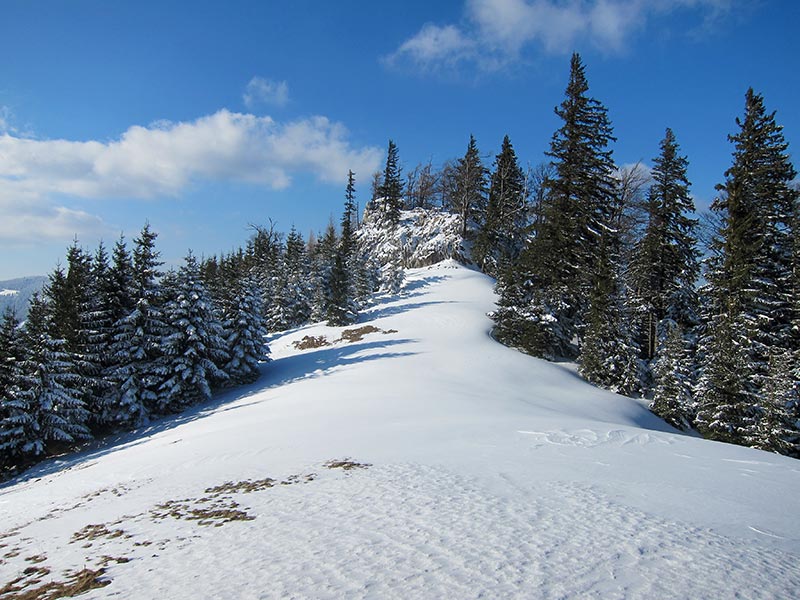 Kuhschneeberg